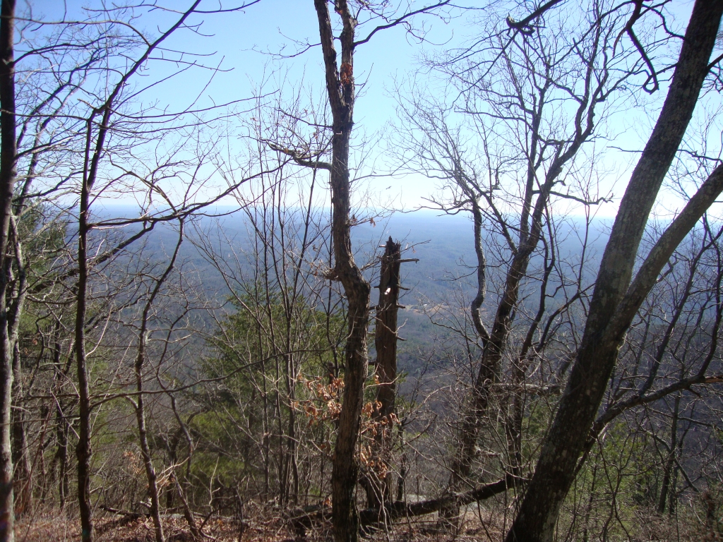 By 4:22 PM I was through Hightower, Horse, and Cooper Gaps, an introduction to Georgia mountains that had several of us revising our daily-mileage plans! At least a half dozen hawks were circling east of the Justus Mountain summit; one or two may be visible here. 