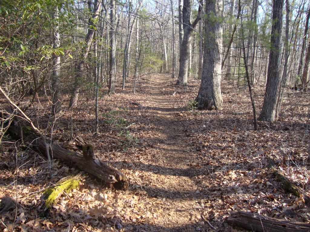 About 10AM on my second full day of hiking (Day 3, March 13), this looks ahead to a pleasant section of trail. I often wished the entire AT was like this!