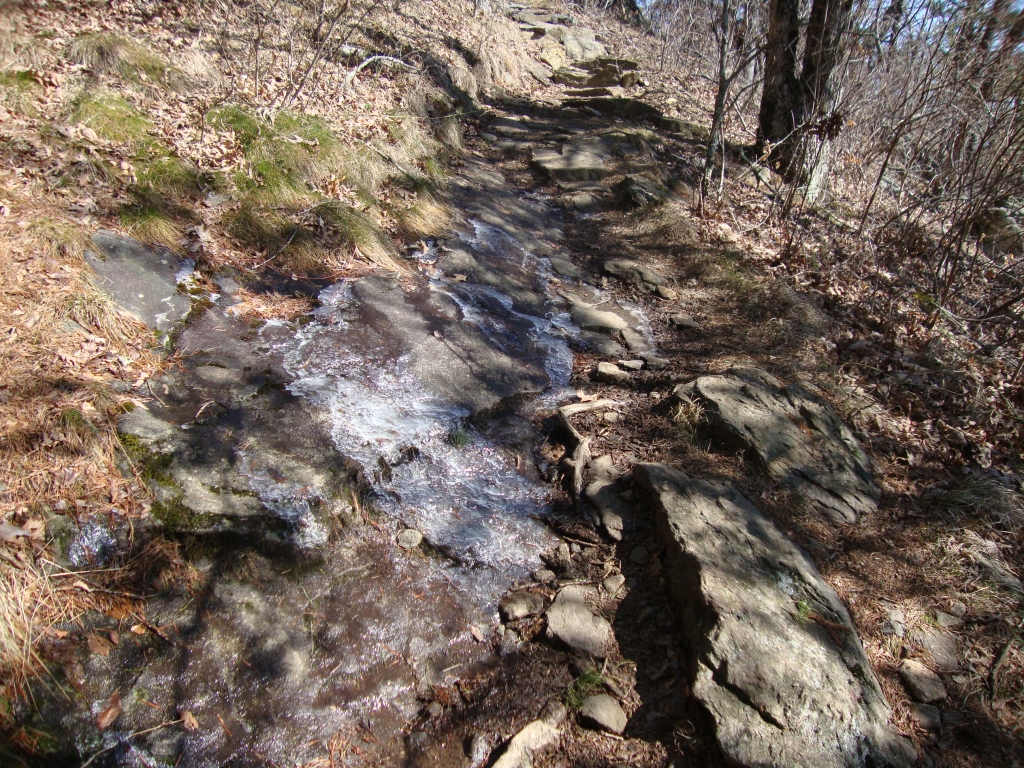 Hikers talked about that March 13 night for weeks. I hadn't yet heard how cold and windy it had been, and was surprised to see this ice along the trail about an hour out of Neel. My drinking tube had also frozen up.