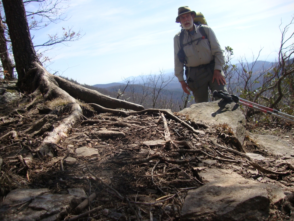At 2:50 PM, this looks south, about 45 minutes (a mile, for me) north of Tesnatee Gap. My night's destination, Low Gap Shelter, is 4.5 miles ahead. At 3:10 I reached Hogpen Gap and began a long climb over Poor Mountain that didn't end until about 5:30 PM. 