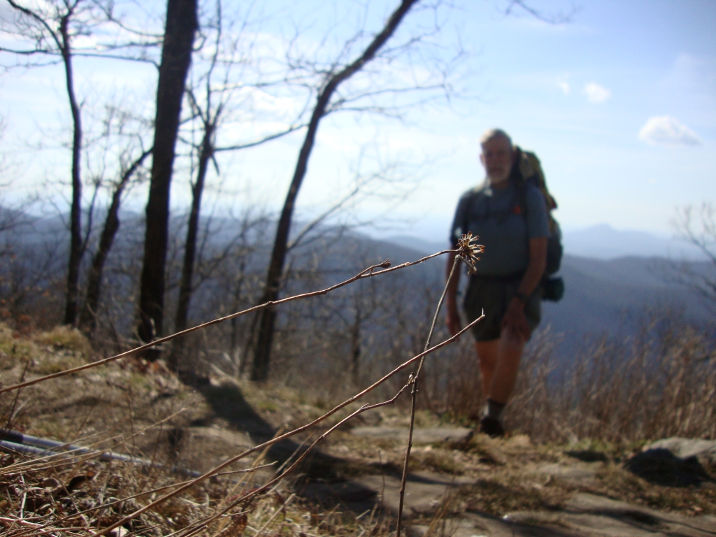By 11:30 I'd finished climbing out of Unicoi Gap, and snapped this west-facing shot. Some fellows headed south told me it was all downhill from here... and cold drinks were waiting at the bottom!
