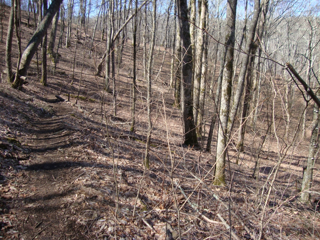 It was sunny and cool, about 11:20 AM, as this trail ascended Standing Indian Mountain. In another 15 minutes, I reached Standing Indian Shelter but just passed by.