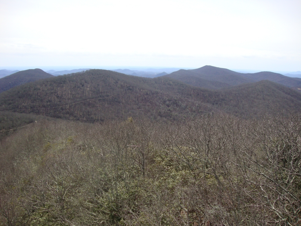 I ascended the fire tower steps until blocked by a locked gate, and took this shot toward the south. I have no idea what any of it is!