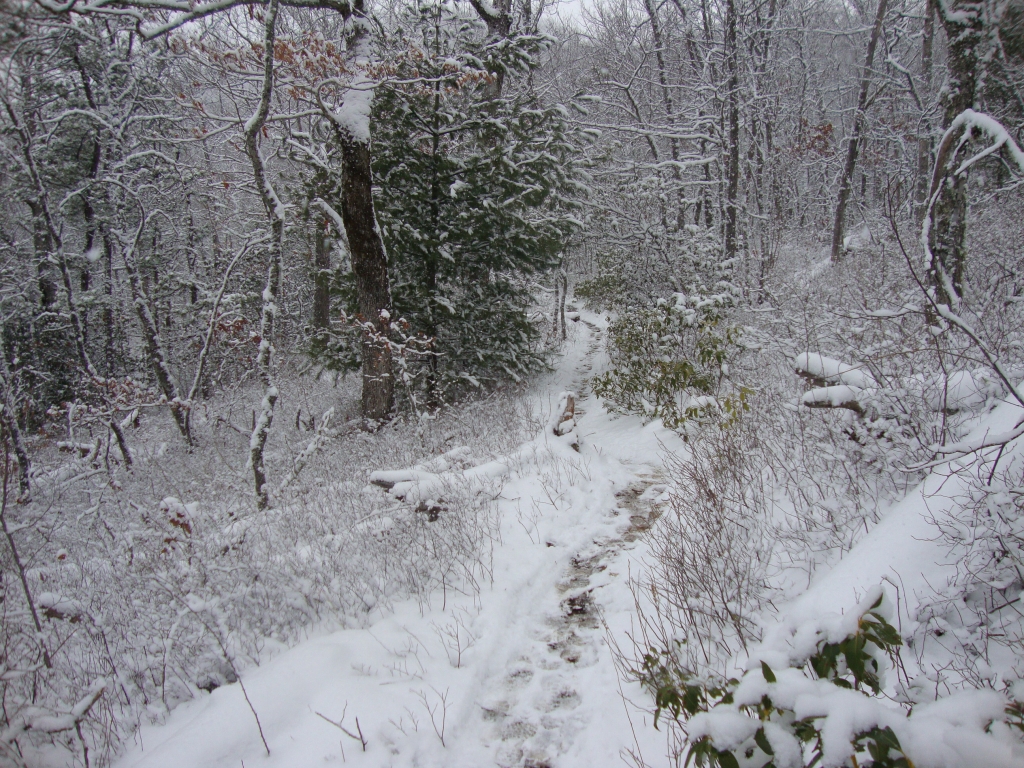At 10:45 AM, the trail is still climbing out of the river valley. At least we back-of-the-pack'ers had prints to follow! Often the fierce wind had blown snow against tree trunks, making the AT's white blazes indistinguishable.