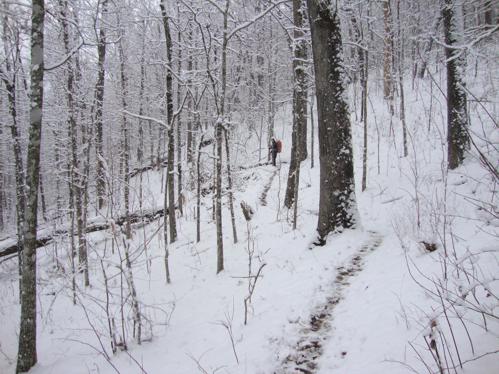Tuesday morning, at 11:00 AM, Tenderfoot is waiting for me. A strong and pleasant man of 36, he passed me on the ascent but decided my pacing was better for his questionable ankle than his own, so we hiked together for several hours. [A May trailjournals dot com Guest Book entry reports that he was found dead in a Virginia house.]