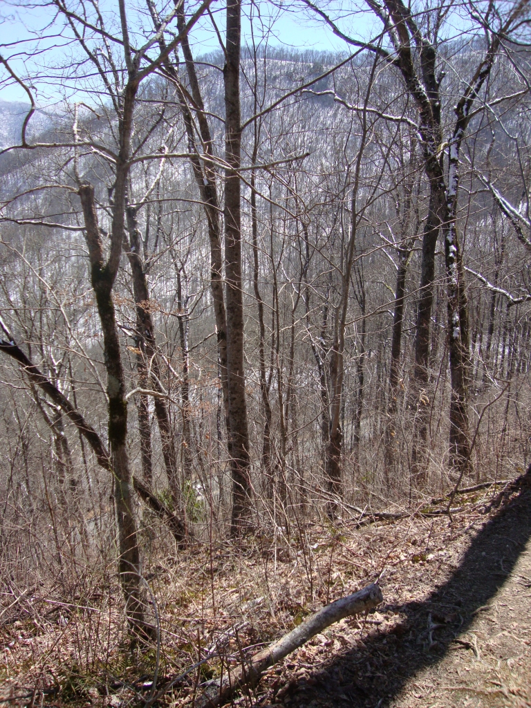 At 2:00 PM Tenderfoot and I reached Stecoah Gap, with a large parking area and highway crossing. (Brad caught up here, sporting his stick/staff.) While Tenderfoot searched for water, I began the long climb north of the gap, snapping this at 2:20 looking back at country we'd traveled that day.