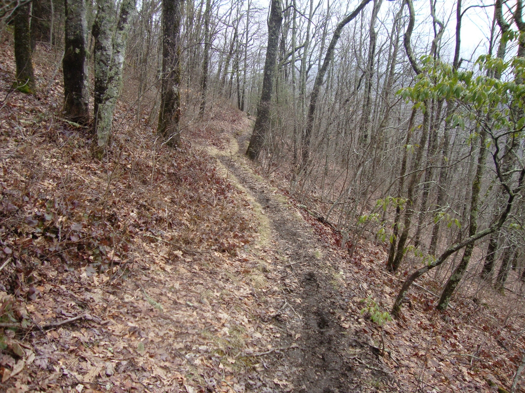 Pleasant trail at 2:20 PM. I arrived at the Mollie Ridge Shelter at 3:45 PM in a light rain.