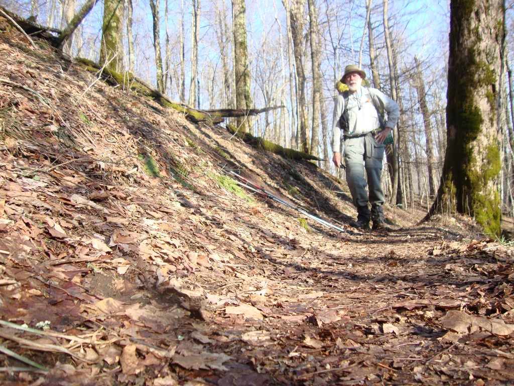 Pleasant trail an hour north of the Mollie Ridge Shelter.