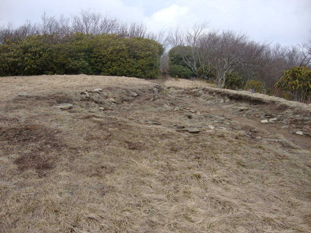 An unusual open, grassy area in the trail 15 minutes out of Spence Field.
