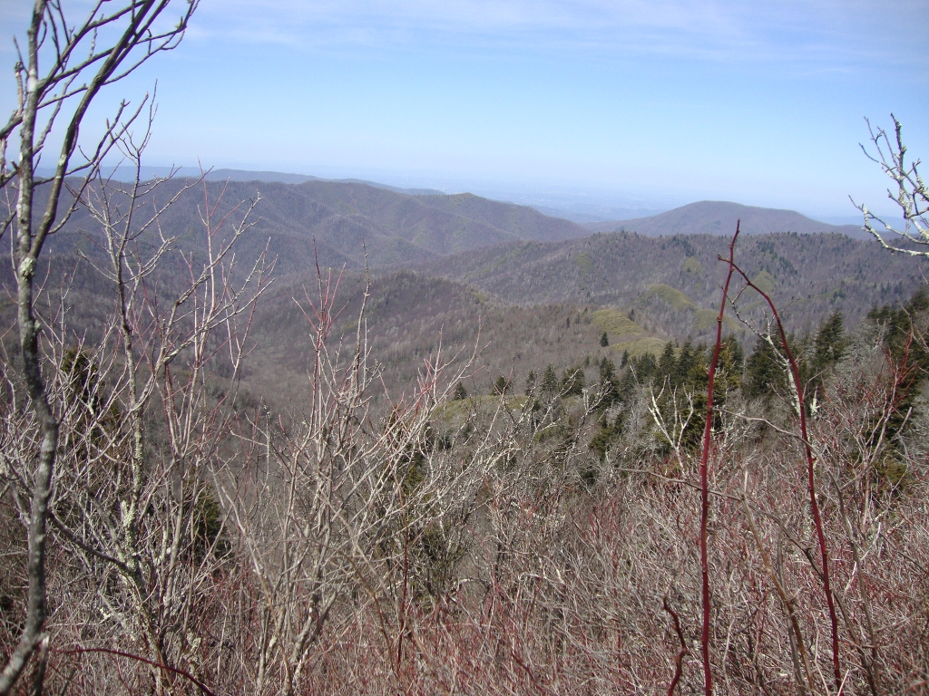 This northern view seems to show firs alone on the hillsides. I finally realized the deciduous trees' leaves just weren't out yet.