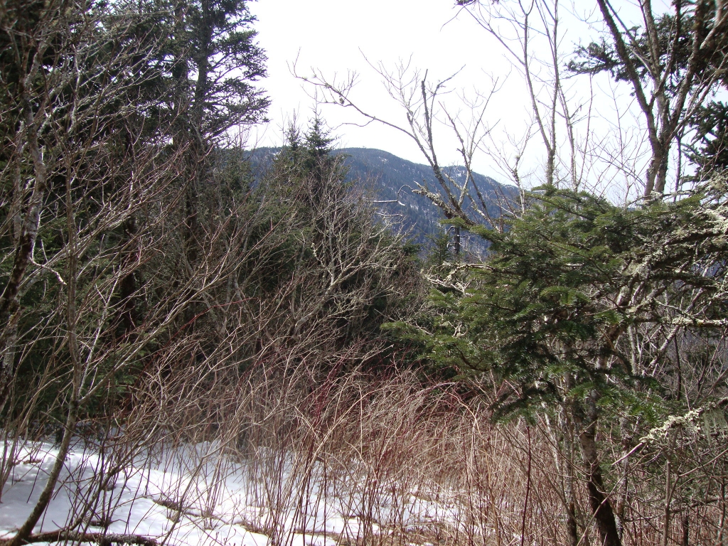 At 1:30  PM, I've come far enough north that the tower is barely discernible.