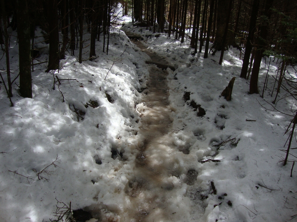 Near the side trail to the Mt. Collins Shelter, at 2:10, I snapped this of the trail I'd just walked. Very tough without 'Spikes or other snap-on devices. I was at the shelter 15 minutes later. 