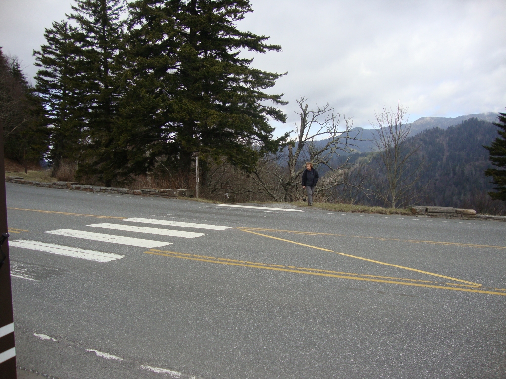 This looks south, to the point at which the AT emerges onto the parking area. I was here, in the rain, a few days ago!