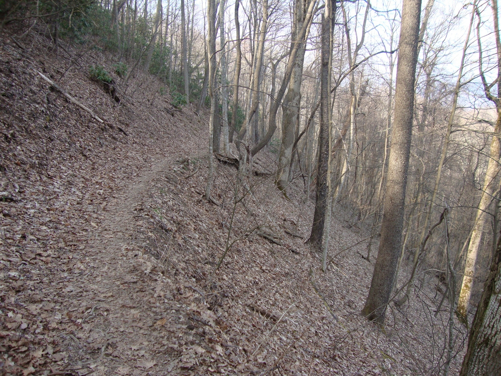 I didn't take the 0.6 mile side trail to the overlook, despite Chicago's suggestion! Pleasant trail here.