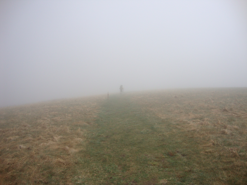 The next trail marking post is barely visible; 12:38 PM