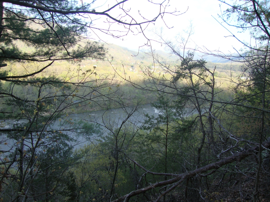 Forty minutes after leaving the Iron Horse, this looks S over the French Broad River to town.