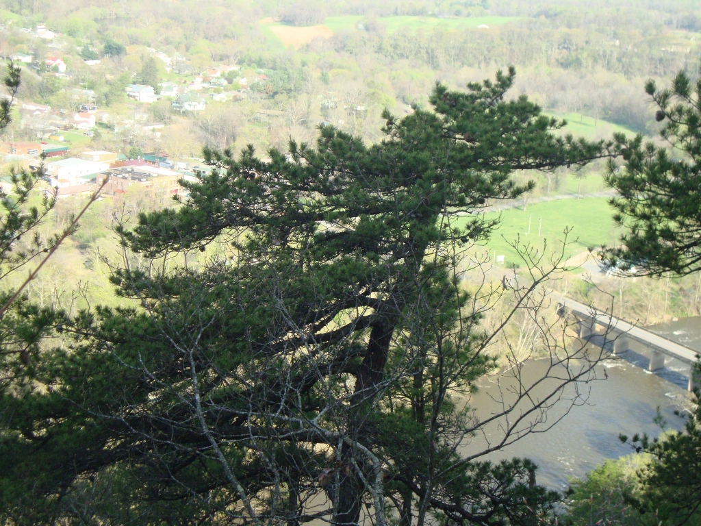 I keep seeing, or perceiving, better shots! It's now 9:09 AM. Still climbing up from the river valley.