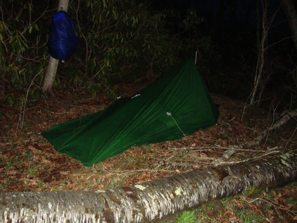 I'm probably standing on the AT for this shot; my tarp is just E or S of the trail, with that fallen birch between us. Not a great site but I was tired and frustrated!