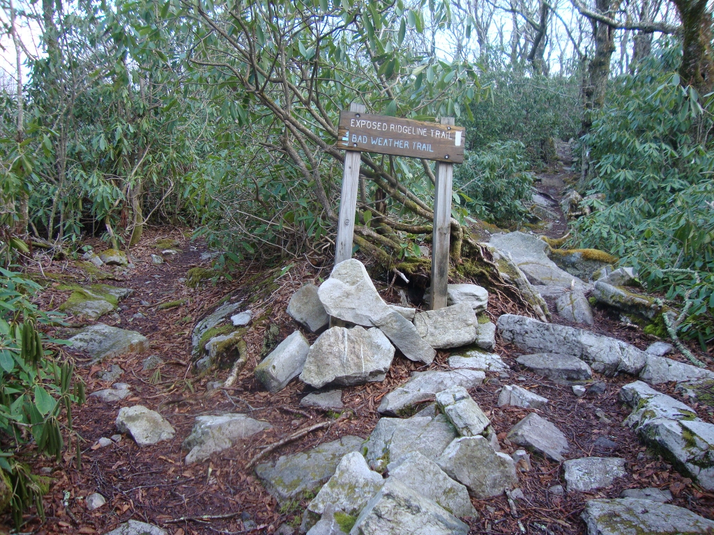 An hour after leaving my "jones Meadow" site, on a very windy and initially foggy morning, I reached this sign. With no rain, I chose the "exposed ridgeline trail."