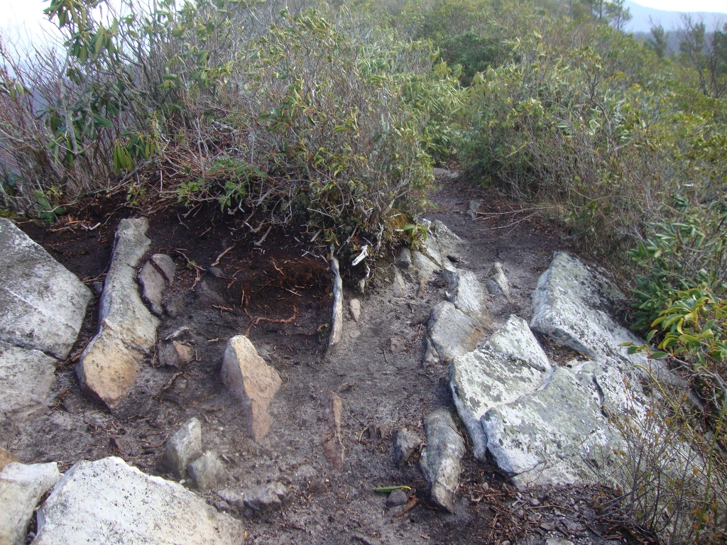 This just gives an idea of the trail; 9:00 AM Thursday April 18 2013.