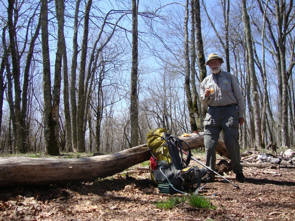 Three hours north of the Hogback Ridge Shelter, this may be the area where I'd planned to camp last night. 