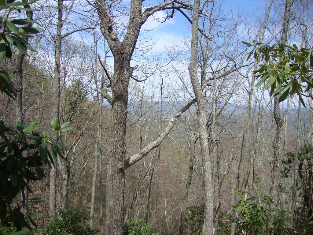I had lunch at the No Business Knob Shelter, whose register reported several woeful tales of norovirus, and at 2:10 PM snapped this shot of (maybe) Erwin TN.
