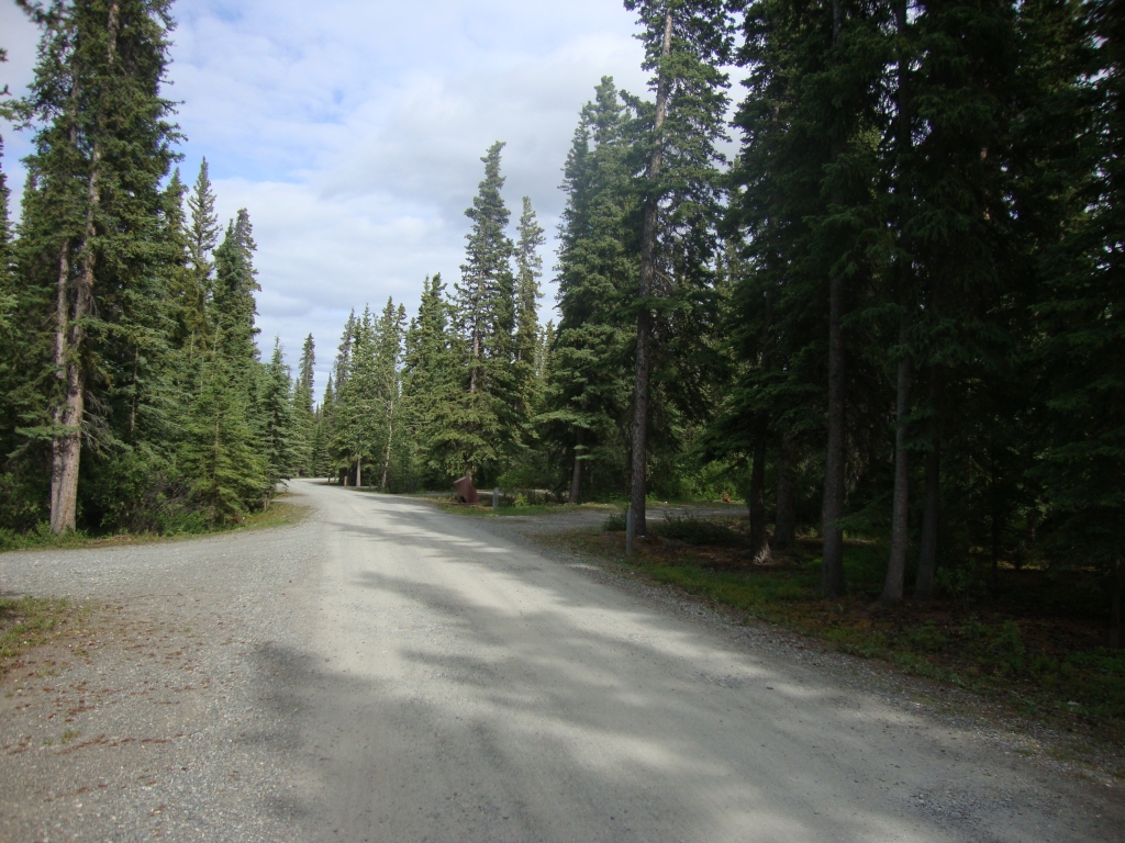This is looking toward the entrance to Pine Lake's camping area. My #9 is at the right edge, and the first visible driveway on the right is to #8. This was a clean and attractive park, typical of the Yukon.