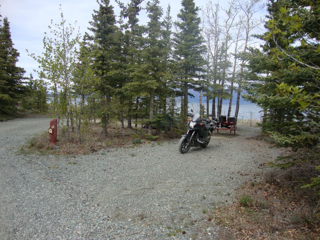 Night 14, Cottonwood on Kluane: Site Q at the nice private Cottonwood RV Park. I'd begun to set up at Congdon Creek Provincial Park but finally saw "No Tenting" (due to bears) signs and backtracked 5 miles to Cottonwood.