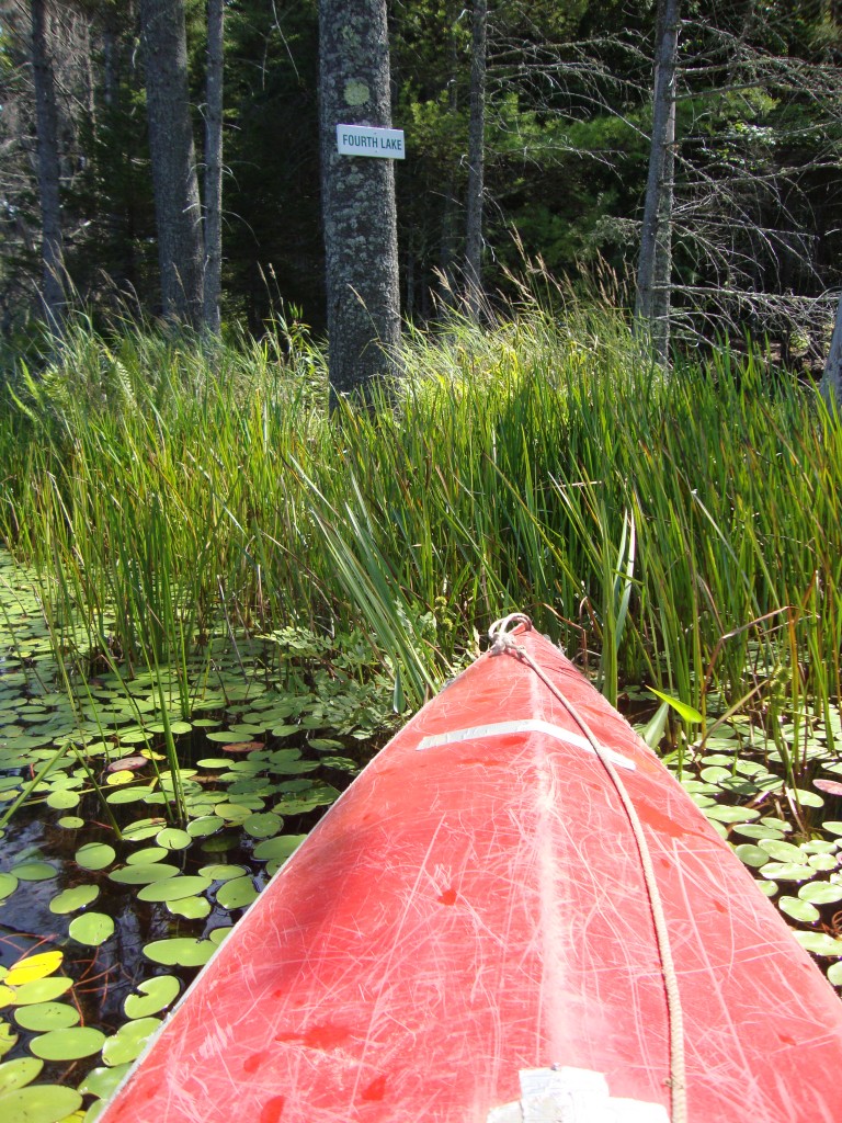 About 2:30 PM, we traversed some lily patches to reach Fourth Lake.