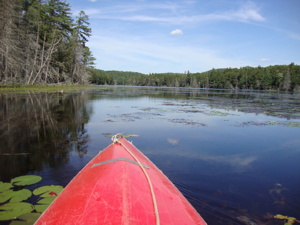 Some of the water plants I had to traverse to get from Third to Fourth are seen here. We're looking north, up the lake.