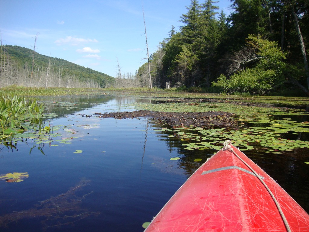 At 3:15 PM the path to Sixth Lake looked unappealing, clogged with dirt, so we turned back here.