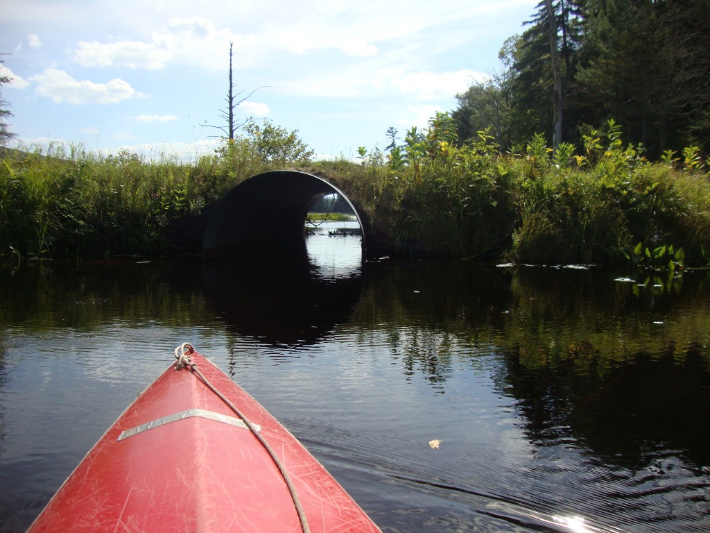 Backing out of Six, I returned through Five to meet my friendly culvert. This was the final photo of my August paddle.