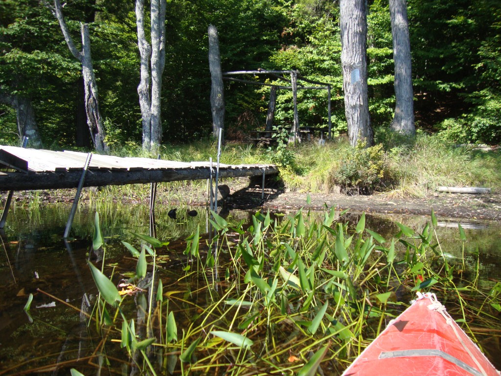 Shortly after 11 AM we examined this dock on the west (or northwest) shore. It may be for floatplane customers.