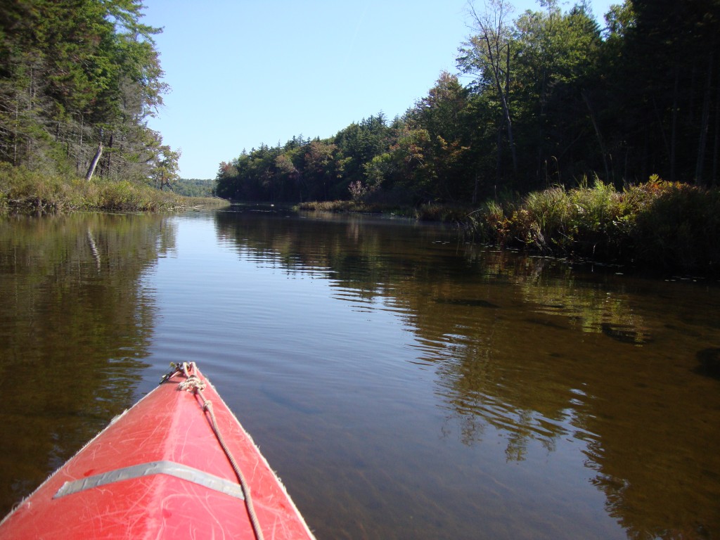 As the south end became shallow with rocks and logs, and no sign for Grassy Pond, we turned around and headed back north.