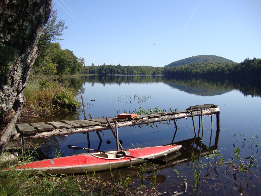 At 11:25 we pulled up to explore a little around this rattletrap dock. The photo looks north.