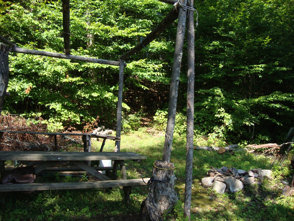 Here's the campsite associated with that dock. On a path up the hill, I found a canoe-carry sign, obviously to Grassy Pond!