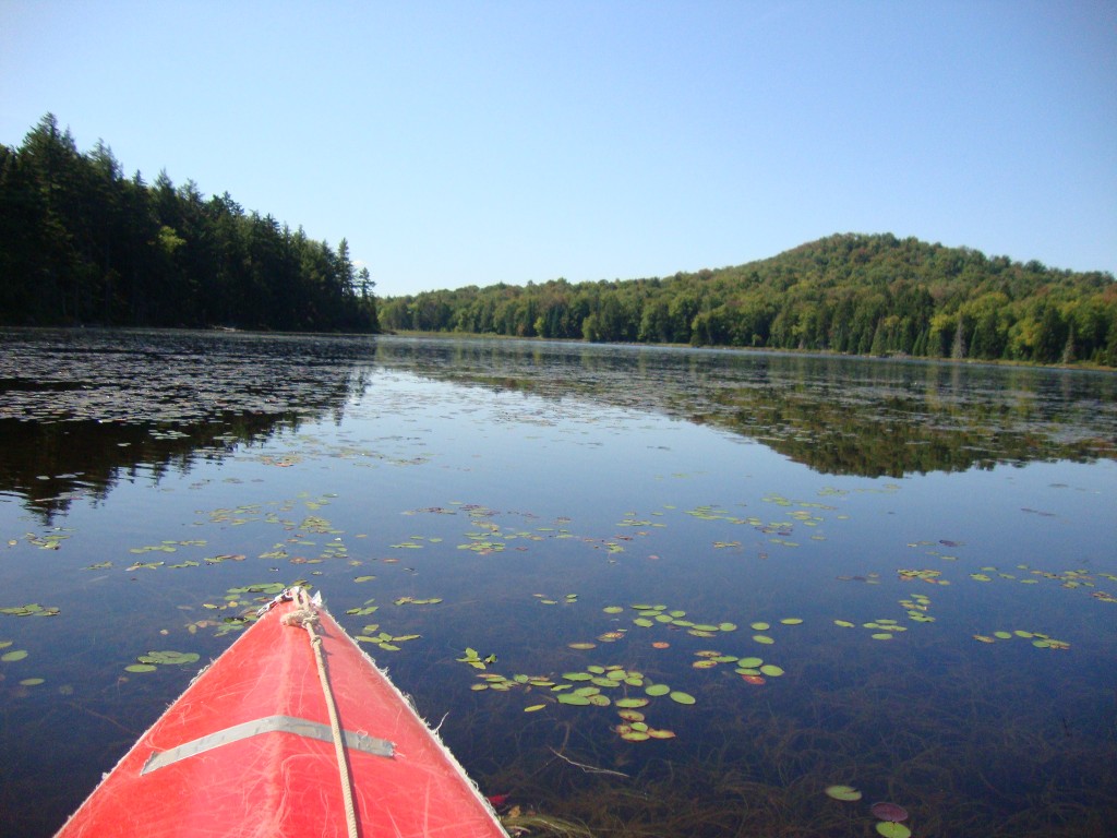 The tough portage justified some exploration of Grassy. Here's a view looking south, from the north end of the pond, at 12:45 PM.