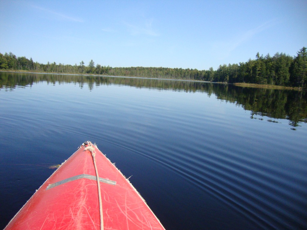 By 1:00 PM we'd paddled to the south end of Grassy Pond. Swinging around, this looks north from the south end. We reached our take-out at 1:10, and were in First Lake water by 2:00 PM.