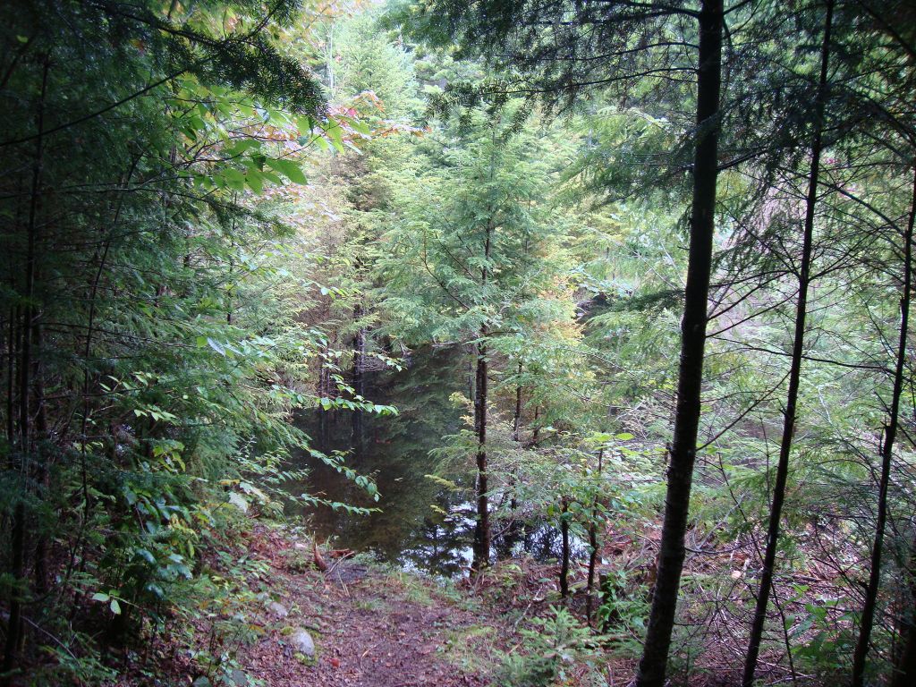 Always curious about Sand and Rock Lakes, I headed south from Big Shallow toward Little Shallow and, ultimately I hoped, Sand Lake. But I soon encountered major beaver flooding.