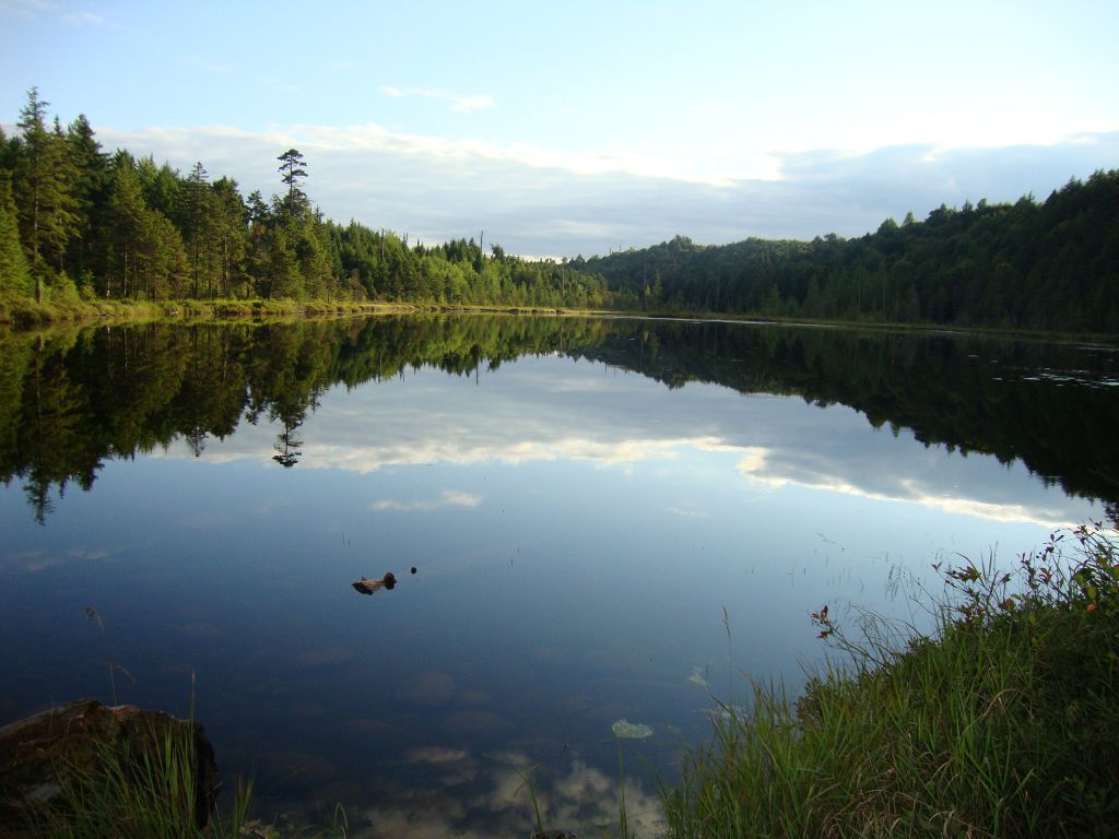 It's a pretty, little pretty little pond...  Nearing dusk, a nice place for solitude!