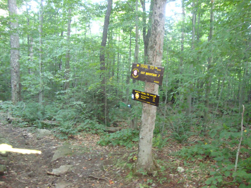 My 2:45 trail signs point to Cat Mountain (a short distance ahead) and two locations, one of them Wanakena (I think), back the way I've come. I decided to wild-camp, using my silicome tarp, in the woods behind the signpost tree.
