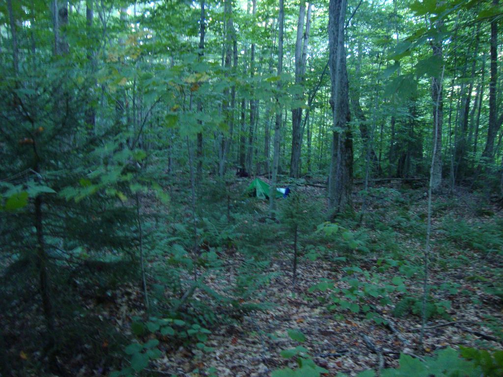 Not wanting to walk another 2 miles to Cowhorn, I found a reasonably level spot a bit off trail and set up around dinnertime on my 5th day. Here's the camp the next morning. The green silicone tarp blends in pretty well; it's just to the left of that shiny thing at the photo's center.