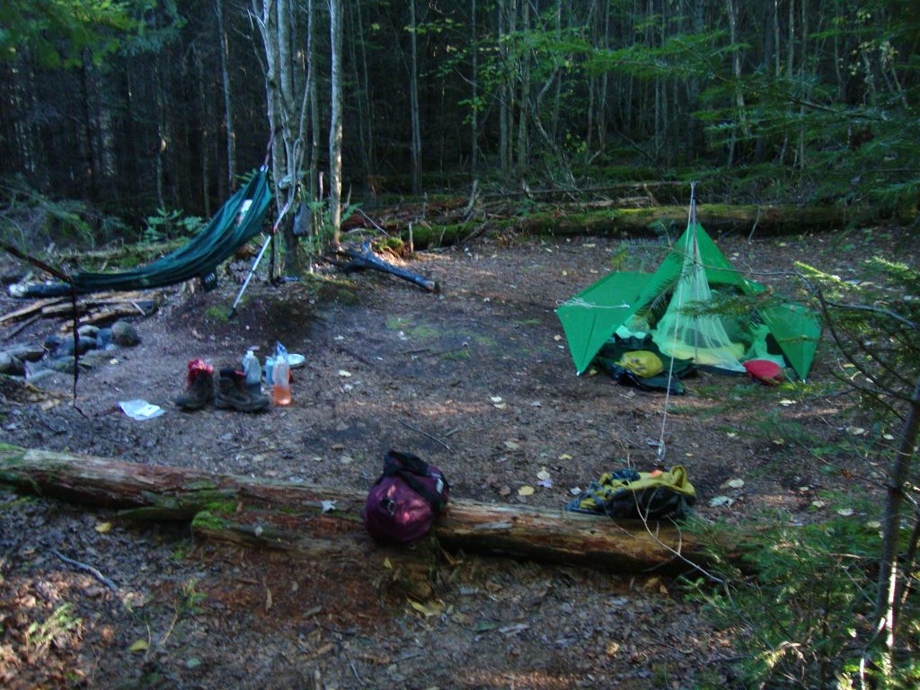 Obviously designed to accommodate larger tents and/or parties, like Scout groups, it was level and clear so I used it anyway.