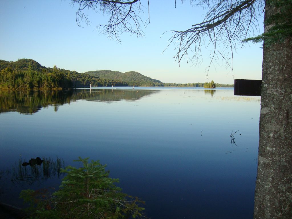 Just before 7 PM on Monday August 25, we're looking east on Lows Lake from Broadhead Gore. The entrance to Grass Pond is just beyond the third (last visible) white pole.