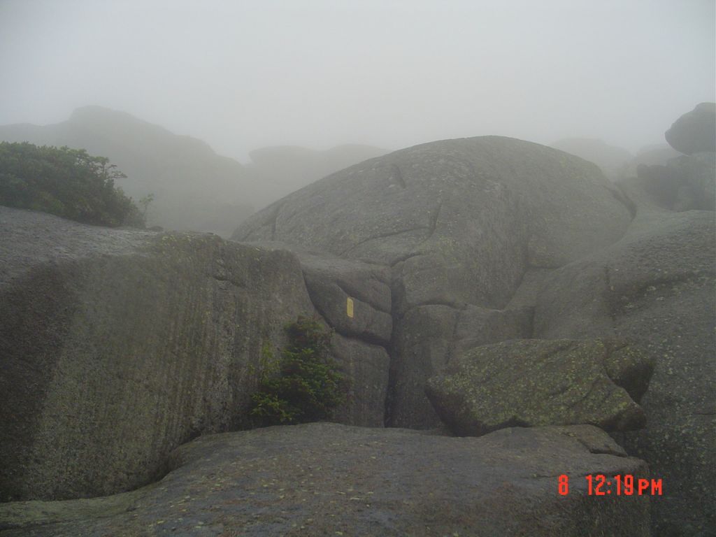 Perhaps just a closeup of the drop just descended. Ten minutes later I came to a delightful little meadow that is one of my favorite places in the Adirondacks. Maybe it's the "saddle."