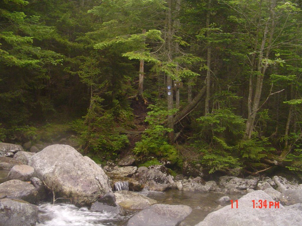 I left about 1:30 PM, up that Blue trail, reached Four Corners at 2:45, and depacked at the Feldspar Leanto at 4:15. No more photos: camera damaged by the afternoon rain. Tomorrow I ascended Colden (#46) via Lake Arnold, dropped down to Avalanche Lake and reached my pickup at South Meadow, at 6:30 PM, via the truck trail from Marcy Dam. Great hike!