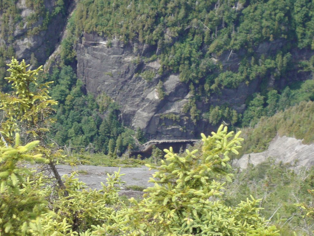 I'd barely started down when I noticed this view of one of the famous structures on Avalanche Lake. Andrea, Dasher, and Heather have been on them.