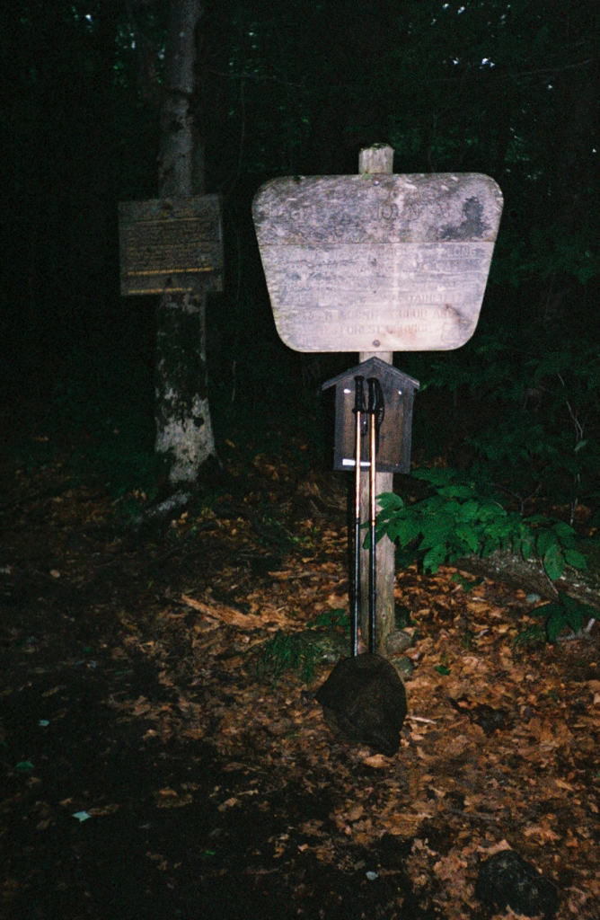 Saturday June 19 I left my Pine Cobble Trail camp at 6:45 AM, reached the Appalachian Trail at 6:50, and the MA/VT line (the LT southern terminus) at 7:30 AM.
