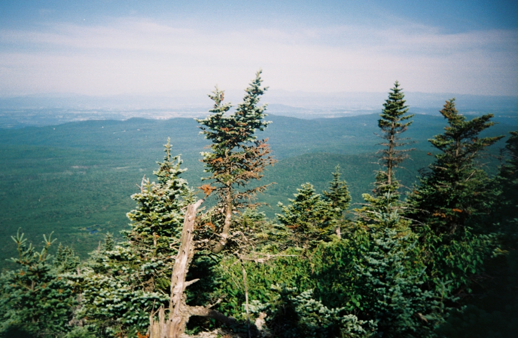 The night of July 3 was at Skyline Lodge, with the Frappiers and others. We enjoyed fireworks from several distant towns from  "The Rocks," a west-facing overlook, before turning in.