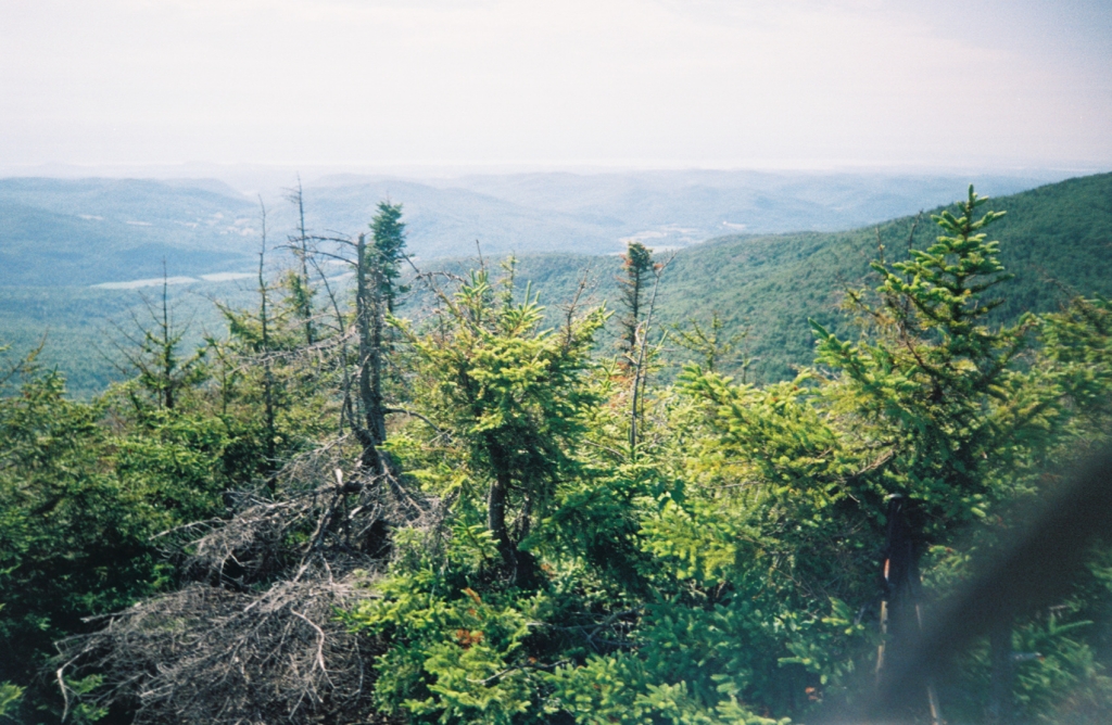 Heading for Montclair Shelter, partly to escape three inconsiderate Rutland boys at Cowles Cove (Chris nicknamed them "The Three Stooges"), I was alone all afternoon and shot this Champlain view from the summit of Burnt Rock Mountain.